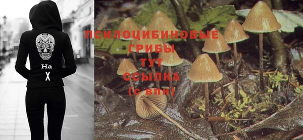 героин Алзамай