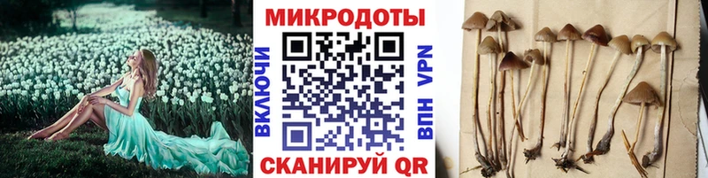 hydra ONION Мещовск Псилоцибиновые грибы ЛСД